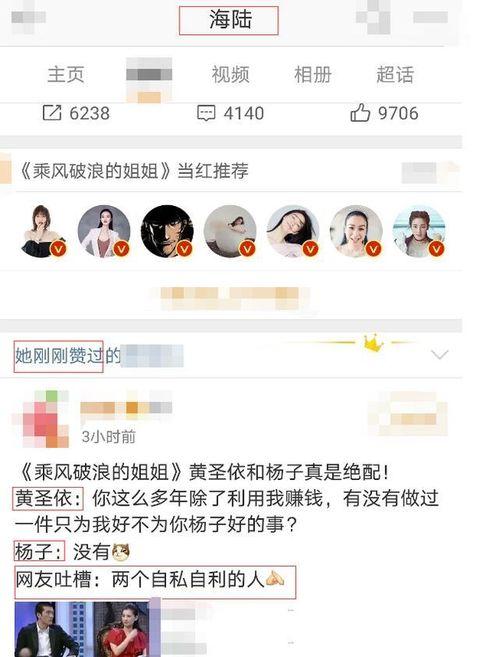 网免费吃瓜黑料泄密爆料蘑菇视频,蘑菇视频泄密事件深度剖析