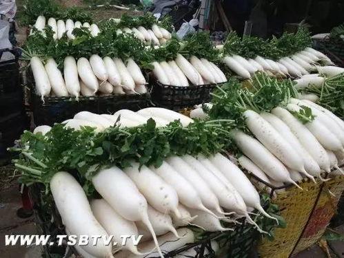 台山吃瓜最新事件爆料新闻,最新爆料揭露惊人内幕