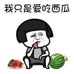娱乐圈吃瓜的梗叫什么