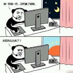 吃瓜黑挑会长胖吗知乎,揭秘吃瓜行为与体重增加的关系