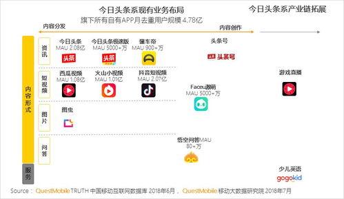 吃瓜天鹅天天爆料视频在哪看,观看指南大公开！
