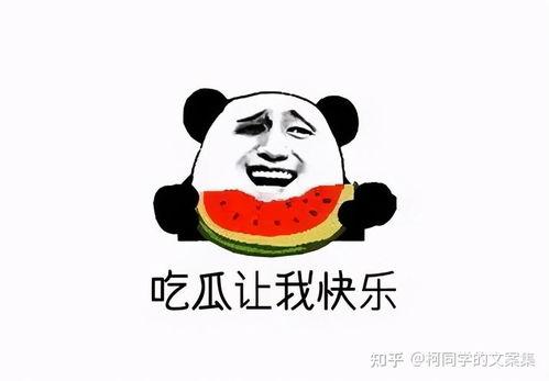 今日吃瓜文案短句搞笑,搞笑文案盘点
