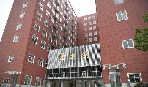 周口小吊瓜今日行情,丰收喜人，价格稳中有升”