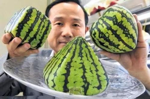 大连爆料吃瓜事件真相揭秘,真相大揭秘，还原事件全貌