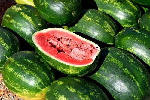 吃瓜今日必吃大全,今日必吃大全深度解析