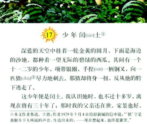 明星网红被写进教科书