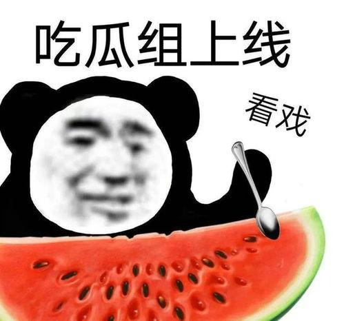 国产吃瓜黑料的,吃瓜黑料背后的真相与反思