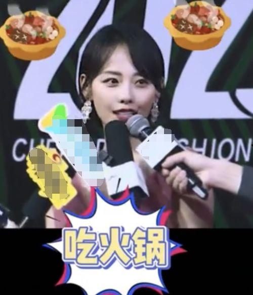 歌手明星网红的区别,揭秘三者的身份差异与魅力所在