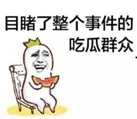 上热门话题吃瓜群众怎么说,网络舆论场中的围观力量