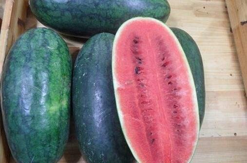 718黑料吃瓜往期内容,回顾往期精彩内容，揭秘娱乐圈幕后真相