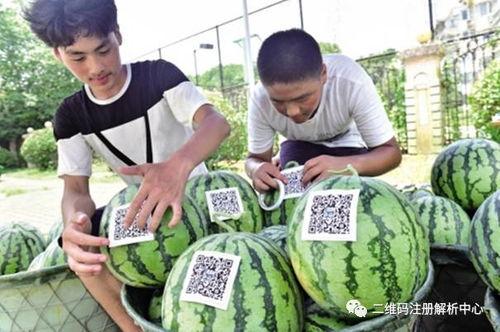 51cg4吃瓜群众黑料,网络舆论背后的真相