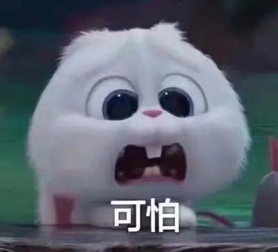 吃瓜爆料深圳事件真相揭秘,吃瓜群众视角下的背后真相