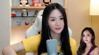 明星网红解说视频大全,趣味解读，精彩纷呈