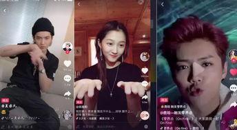 明星网红解说视频大全,趣味解读，精彩纷呈