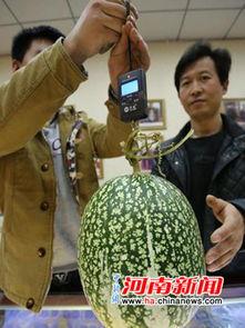 反差吃瓜黑料事件17c,揭秘17c事件背后的黑料风云