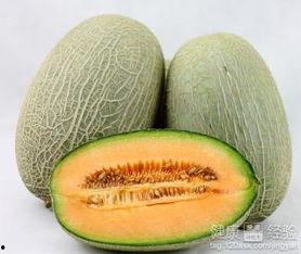 黑兔可以吃哈密瓜吗视频,一场意外的美食探索