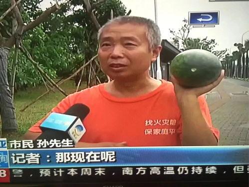 今日吃瓜热门事件社会新闻反差,吃瓜群众见证社会新闻反差大剧