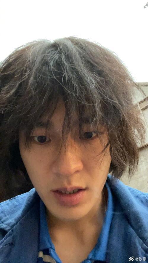 51热门今日吃瓜反差婊莫里秀,今日吃瓜反差婊莫里秀，揭秘网络红人的真实面目