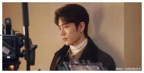 吃瓜爆料刘亦菲肖战,娱乐圈幕后真相大揭秘