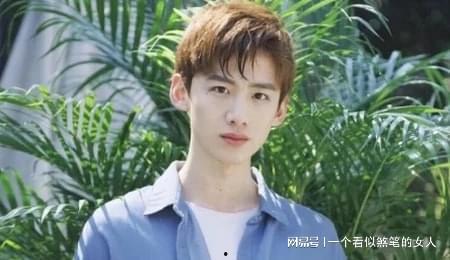 横店明星网红有哪些,明星网红云集的璀璨星河