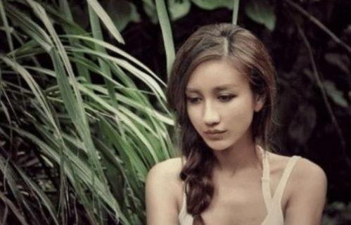 明星网红自媒体图片,光影交织下的魅力瞬间