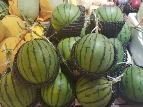 一栗莎子的吃瓜爆料,娱乐圈幕后真相大揭秘