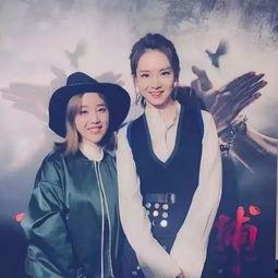 明星网红自媒体区别,三界交融的传播力量解析