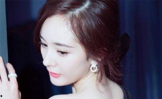 性价比高的明星网红,人气与实力并存的选择指南”