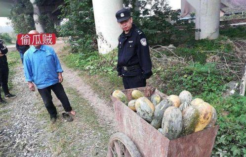 嘉善县吃瓜爆料事件视频,视频揭秘惊人真相