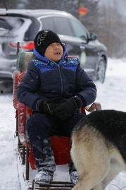 明星网红去雪乡,跟随明星网红的脚步，感受冬日童话世界