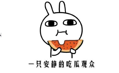 抖音黑料吃瓜,吃瓜群众如何解读网络热点事件