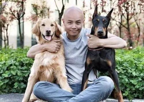 娱乐圈吃瓜小狗小说免费阅读,吃瓜小狗的甜蜜复仇之旅