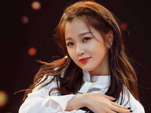 明星网红界限有哪些